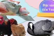 5 loại đặc sản tiến vua