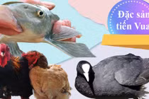 5 loại đặc sản tiến vua