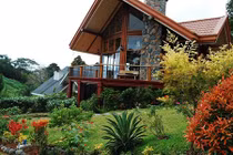 Nữ đại gia đau lòng phát hiện chồng lập "hậu cung" trên núi