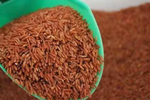 "Bỏ đói tế bào ung thư" có thực sự hiệu quả?