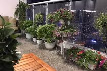 Thân Thúy Hà bất ngờ khoe tổ ấm đẹp như mơ khiến fan phát thèm