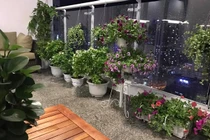 Thân Thúy Hà bất ngờ khoe tổ ấm đẹp như mơ khiến fan phát thèm