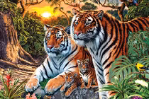 Những điều kiêng kỵ khi treo tranh trong phòng trẻ nhỏ