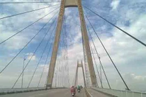 Ngư dân nhiều lần “cướp cơm Hà Bá” dưới cầu Bính