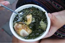 Thứ rau nhiều người chê đắng lại là thảo dược quý của Đông y