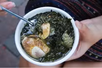 Thứ rau nhiều người chê đắng lại là thảo dược quý của Đông y