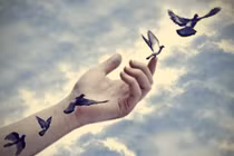 Sống trên đời hãy để niềm vui bắt nguồn từ những điều đơn sơ nhỏ bé