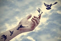 Sống trên đời hãy để niềm vui bắt nguồn từ những điều đơn sơ nhỏ bé