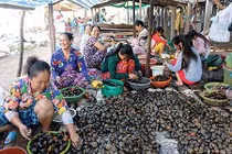 Mùa nước nổi: Chợ ăm ắp sản vật, ngồi lể ốc, mổ cá cũng có tiền