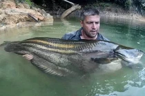 Truy lùng loài cá khổng lồ huyền thoại ở Malaysia
