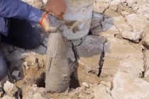 Video: Lật các tảng đất khô cứng, người đàn ông thu được kết quả bất ngờ