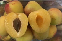 Nhà giàu Việt “sôi sục” mơ đường ngọt lịm giá nửa triệu/kg