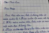 Cười sái hàm bài văn tả mùa xuân của nhóc tiểu học