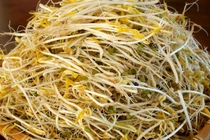 Những lợi ích tuyệt vời của giá đỗ không phải ai cũng biết