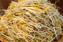 Những lợi ích tuyệt vời của giá đỗ không phải ai cũng biết