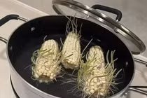 Bỏ quên bắp trong nồi và loạt rau củ "đột biến" chỉ tại não cá vàng