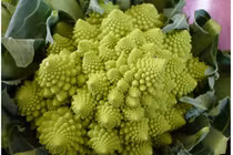 Cây súp lơ giá 250 nghìn đồng, phải đợi cả tuần mới có hàng