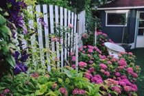 Nhân tình của chồng gửi "ảnh nóng" thách tôi đến đánh ghen