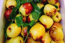 Loại quả Trung Quốc được ráo riết lùng mua