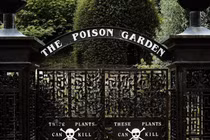 Video: Khu vườn trồng độc dược chết người, du khách sơ sẩy có thể mất mạng