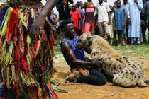 Nghề nuôi linh cẩu phục vụ giải trí và làm thuốc ở Nigeria