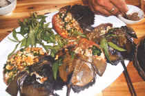 Video: Sam biển và 7 công thức chế biến lạ miệng