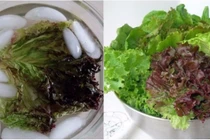 "Hô biến" rau héo thành rau tươi xanh cực dễ