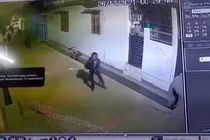 Video: Báo hoa mai đột ngột lao tới vồ ngã người đàn ông