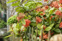 8 điều các bà vợ phải làm nếu vẫn còn yêu người chồng phản bội