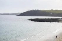 Lái xe gần 500km bất chấp lệnh cách ly, cặp vợ chồng nhận cái kết đắng