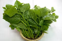 Chữa bệnh cho phái mạnh từ loại rau quen thuộc hàng ngày