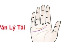 Bàn tay có 6 nét này “phúc khí” đầy nhà