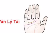 Bàn tay có 6 nét này “phúc khí” đầy nhà