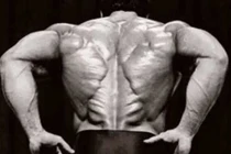 Lý giải về cơ lưng đẳng cấp “hình cây thông” của Lý Tiểu Long