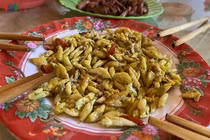 Tây Nguyên: Săn tôm rừng đặc sản kiếm tiền triệu mỗi ngày ngon ơ