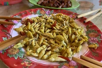 Tây Nguyên: Săn tôm rừng đặc sản kiếm tiền triệu mỗi ngày ngon ơ