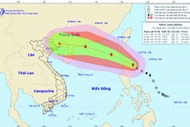 Bão Nida có thể chuyển hướng về phía Bắc Bộ, gây mưa lớn 