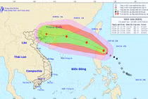 Bão Nida có thể chuyển hướng về phía Bắc Bộ, gây mưa lớn 