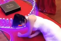 Chú rể đẩy bạn gái cũ ngã trong hôn lễ, biết nguyên nhân "không ai dám trách"