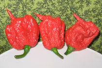 Nhập viện cấp cứu vì dại dột thử ớt cay nhất thế giới