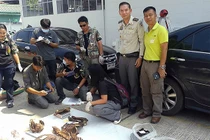 Băng nhóm chuyên săn hổ khắp Đông Nam Á bán về Việt Nam