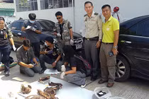 Băng nhóm chuyên săn hổ khắp Đông Nam Á bán về Việt Nam