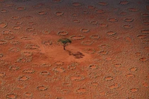 Top 8 bí ẩn "xuyên không" nhiều thế kỷ vẫn không tìm được lời giải