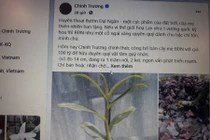 Lan đột biến Bướm Đại Ngàn rao bán 100 tỷ