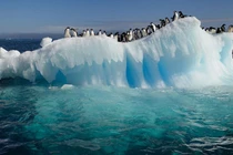 Video: Sẽ là tận thế nếu băng 2 cực tan hết sau một đêm?