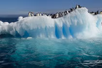 Video: Sẽ là tận thế nếu băng 2 cực tan hết sau một đêm?