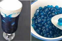 Sữa tươi trân châu hoa đậu biếc vừa ngon tê lưỡi lại mát lịm tim
