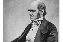 Hôn nhân bí ẩn của nhà tự nhiên học Charles Darwin