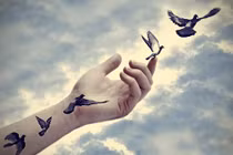 Phật dạy "Đau khổ tại tâm" và cách buông bỏ trút mọi phiền não