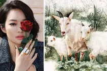 12 con giáp dễ gặp vận hạn gì tháng 4/2019?